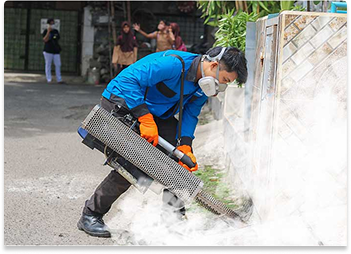 Fogging Serangga
